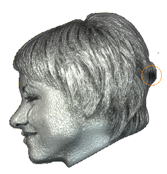 Рельеф лица в 3D виде